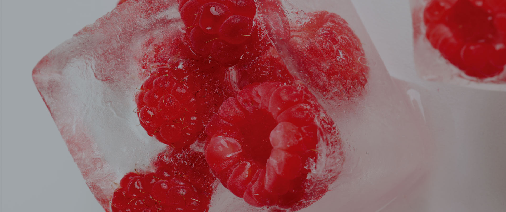 Raspberries frozen in a block of ice on a white background